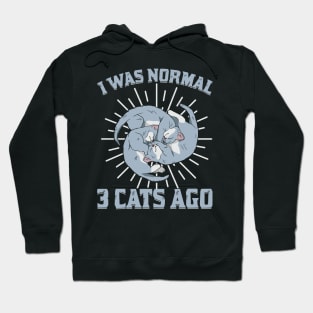 I Was Normal 3 Cats Ago Animal Lover Gift Hoodie